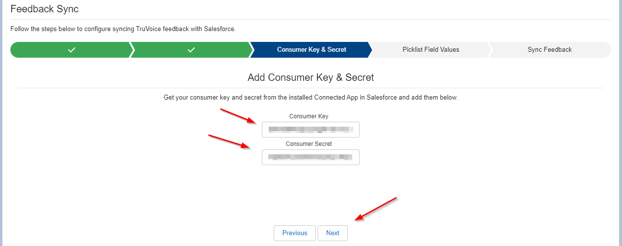 17.consumer_key_secret.png